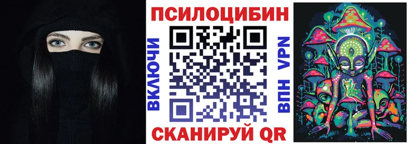наркошоп  Нижняя Салда  Псилоцибиновые грибы Psilocybe 