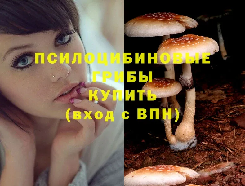 где купить наркоту  дарк нет как зайти  Галлюциногенные грибы Magic Shrooms  Нижняя Салда 